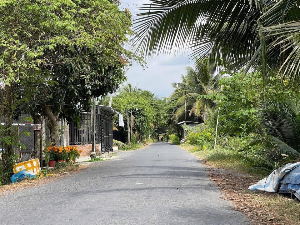 Đất Vườn 1580m² Mặt Tiền Nhựa Xã Long Định, Tiền Giang - Hướng Nam