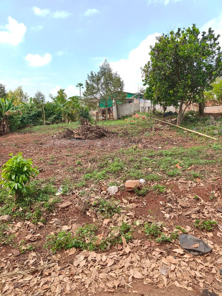 Đất nền Ea H'leo 240m² sổ hồng thổ cư - Giá 520 triệu