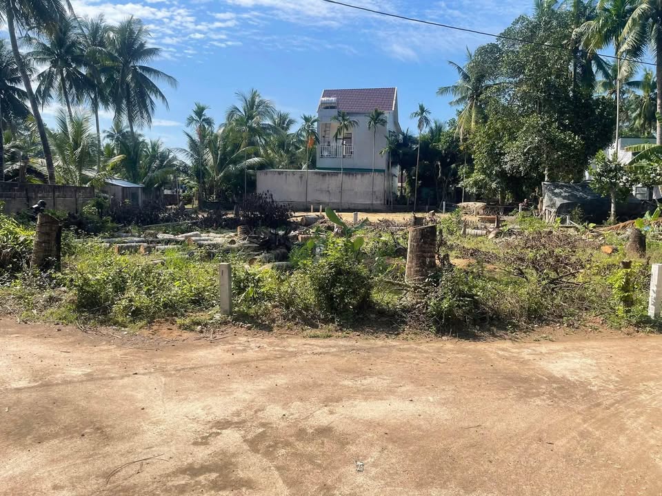 Đất nền Hoài Hảo, Hoài Nhơn 60m² - Đường to ô tô, Sổ đỏ sẵn sàng!