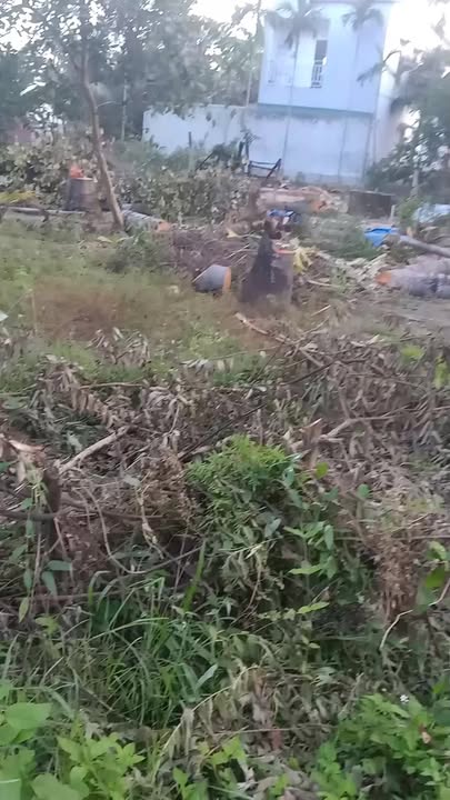 Lô Đất Hoài Nhơn 100m² giá 3xx triệu - Đường to ô tô, tiềm năng lớn!