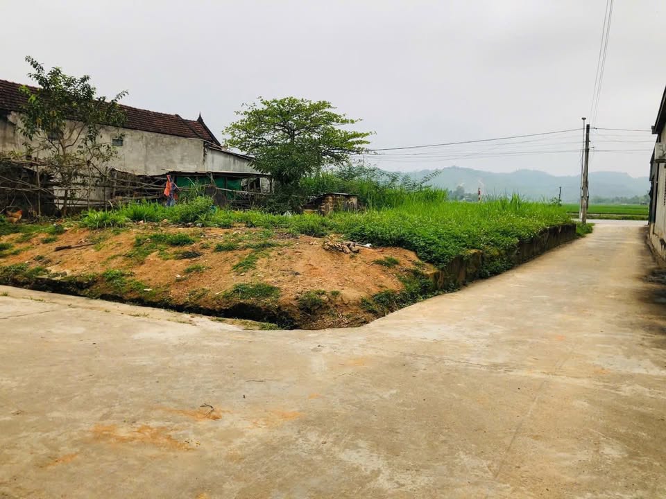 Đất Vàng Mặt Tiền QL48 Nghĩa Đàn - 322m² - Sẵn Sàng Đầu Tư