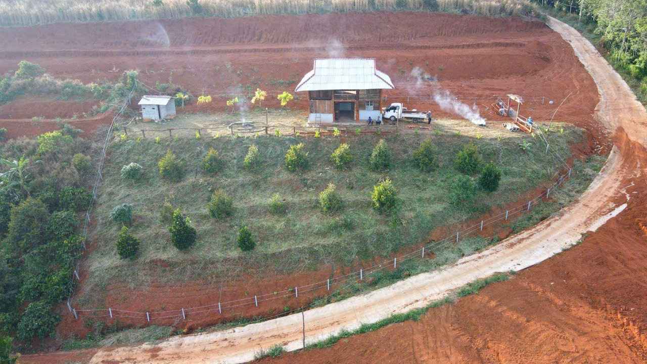 Bán Đất Vườn Đắk Nông 3600m² - View Săn Mây, Mặt Tiền 63m Đường Bê Tông