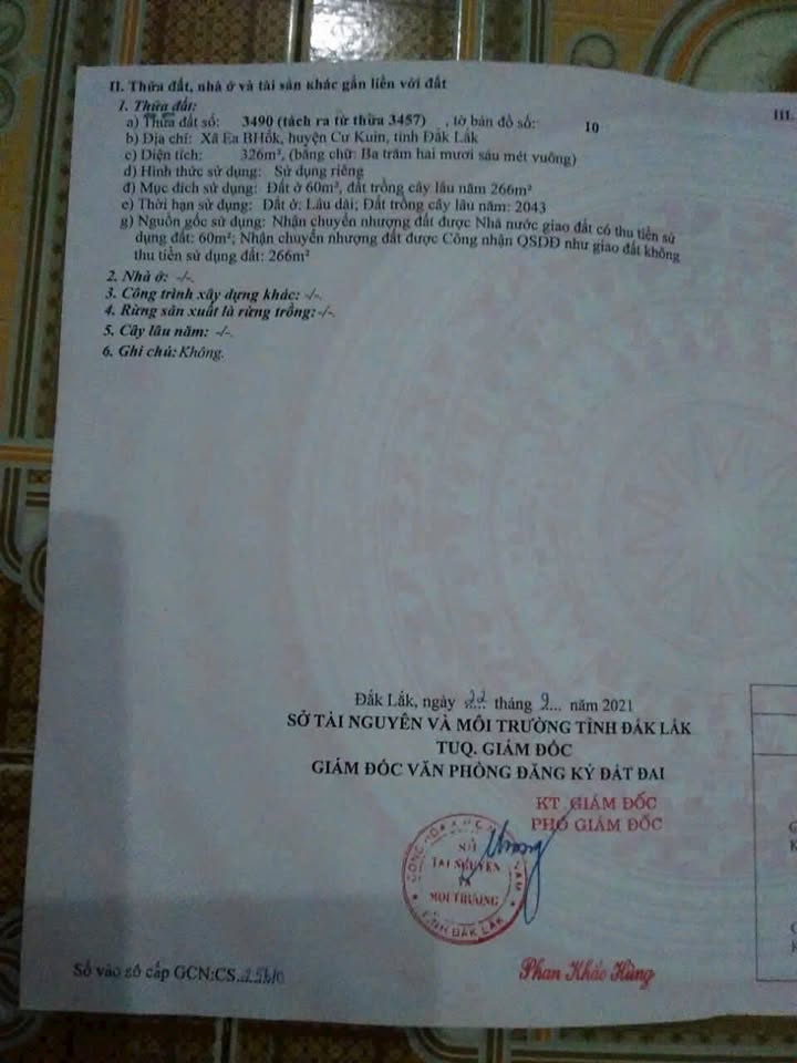 Đất nền Cư Kuin 310m² 900 triệu - Tiềm năng tăng giá vượt trội!