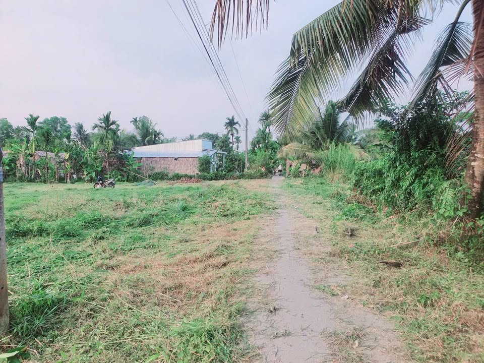 Đất nền 155m² Ấp Minh Hưng Châu Thành An Giang - Tiềm năng tăng giá!