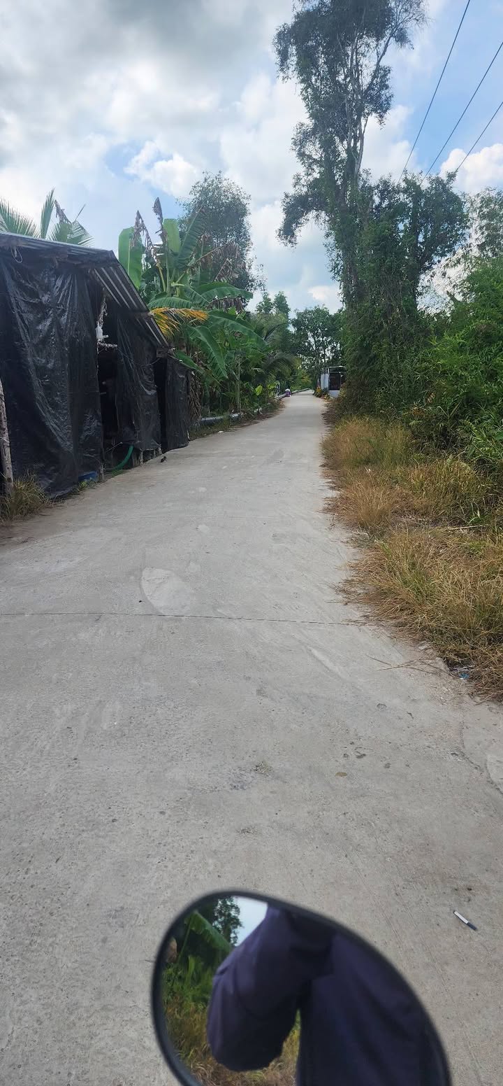 Đất nền Vị Thanh 1000m² giá 650 triệu - Tiềm năng tăng giá vượt trội!