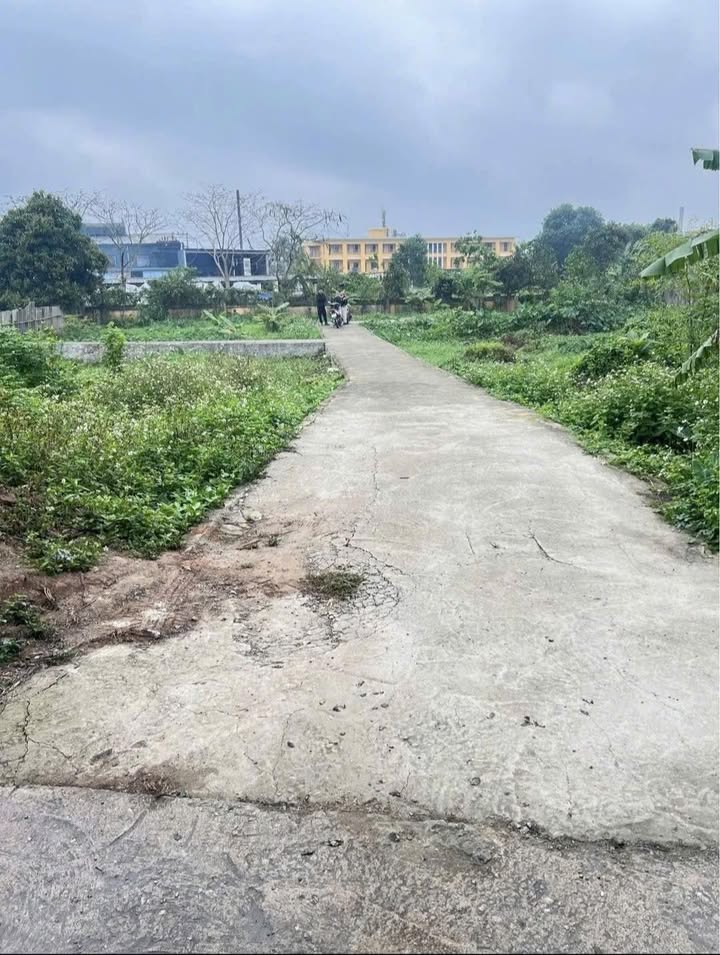 Đất Nền Phạm Ngũ Lão, Nam Định 57.6m² - Tiềm Năng Tăng Giá Vượt Trội!