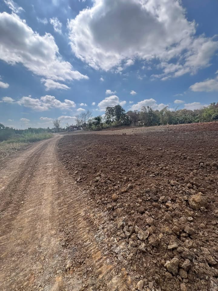 Bán đất Nam Dong Cư Jút 5850m² giá 1.65 tỷ - Sổ đỏ chính chủ