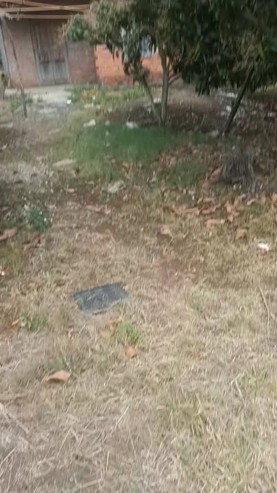 Bán Đất Vườn Đăk Mil 16000m² - Có Sổ Đỏ, Mặt Tiền Đường 40m, Giá 950 Triệu