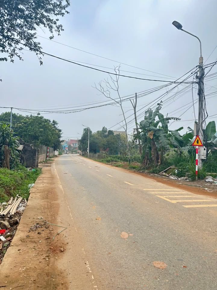 Đất nền đường Dh12 Phú Thọ 125m² - Sổ đỏ chính chủ, đầu tư sinh lời!