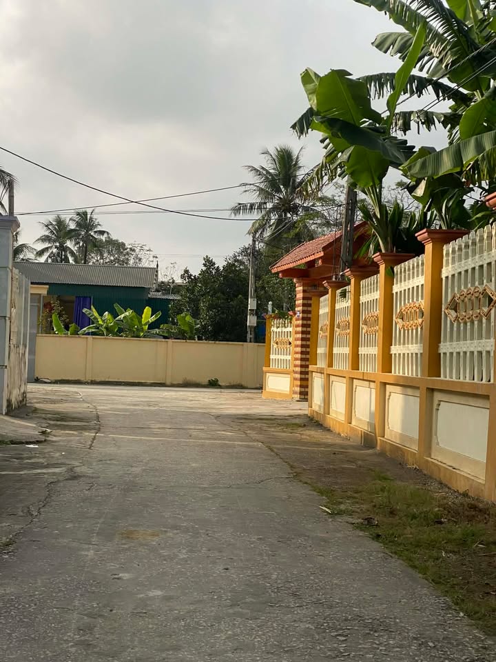 Đất nền Phường Tây Sơn, Tam Điệp 144m² - Đất thổ cư 100%, chỉ từ 4xx triệu!