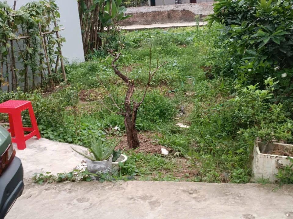 Bán Đất Phượng Đồng, Chương Mỹ 61.5m² - Sổ Đỏ Sẵn Sàng