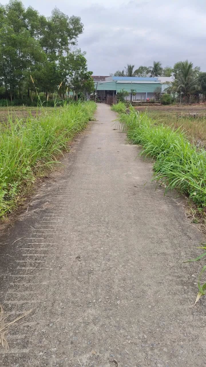 Đất Nền Bình Thạnh, Quảng Ngãi - 352m² Gần Biển, Sân Bay - Giá Chỉ 1.x Tỷ