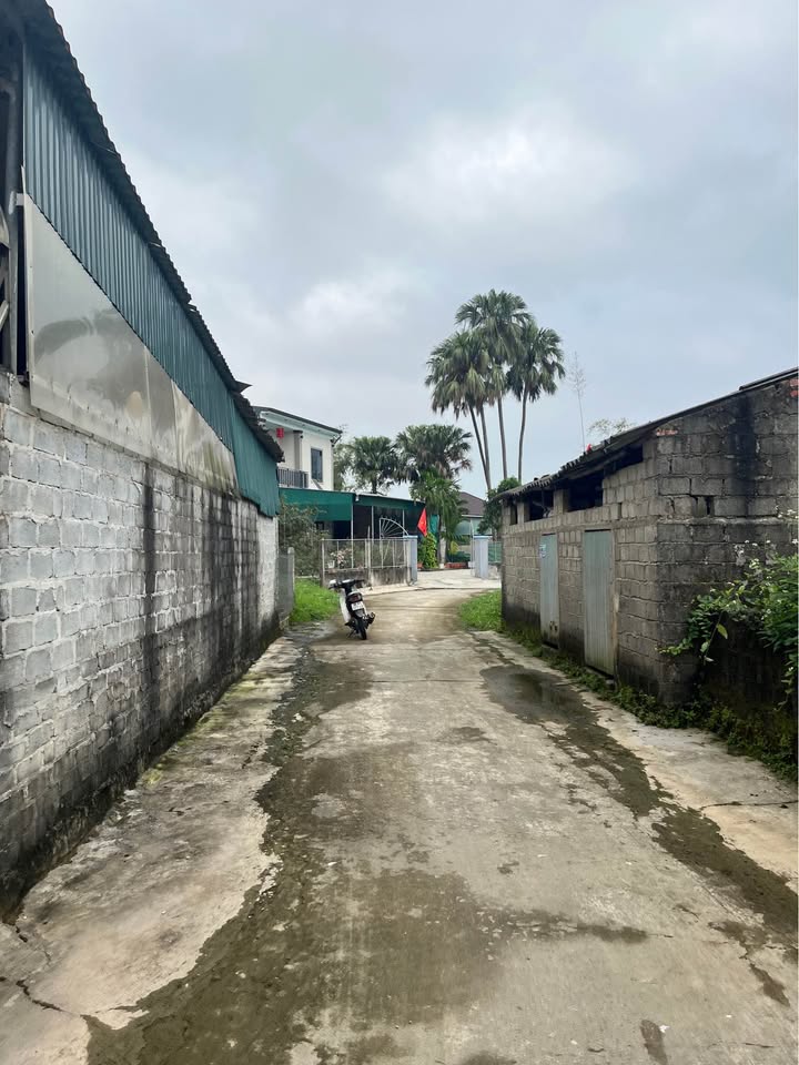 Đất nền Ấp Tân Lâm 224m² giá 1.35 tỷ - Đất thổ cư 100%!