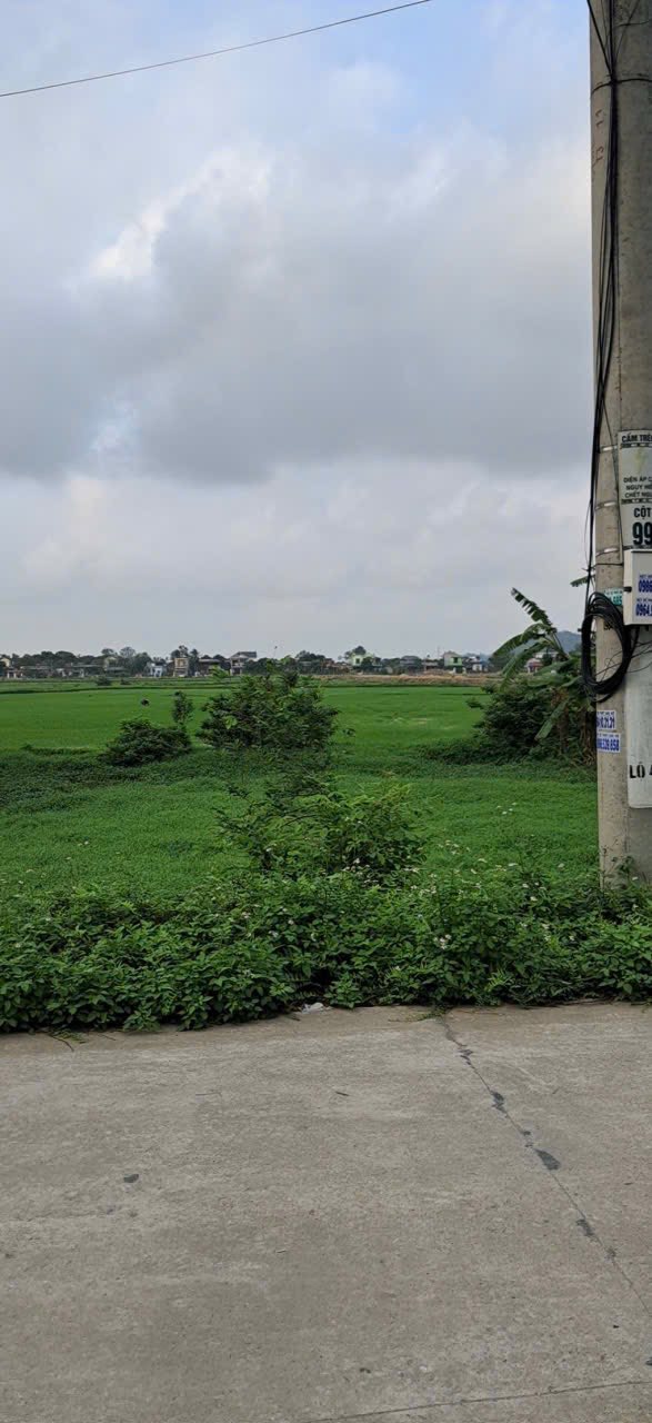 Đất nền Tân Thanh, Thanh Liêm 160m² - Tiềm năng tăng giá vượt trội!