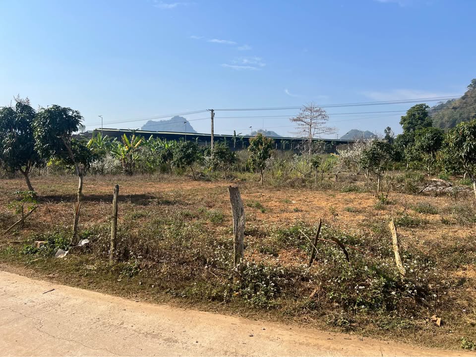 Bán đất vườn 659.3m² sổ hồng tại Pát, Chiềng Ngần - Giá 250 triệu