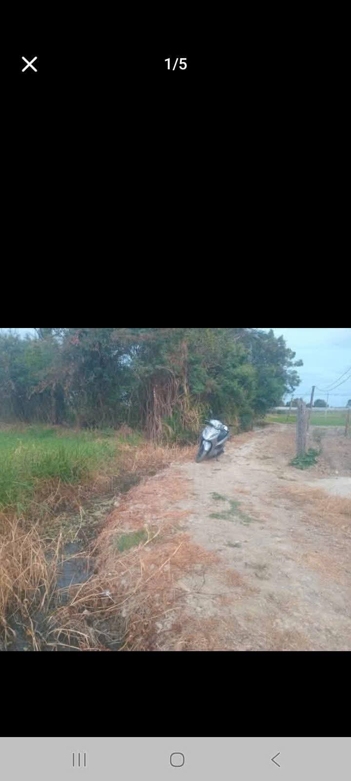 Đất nền Phước Thuận 1600m² - Sổ đỏ chính chủ, chỉ 950 triệu