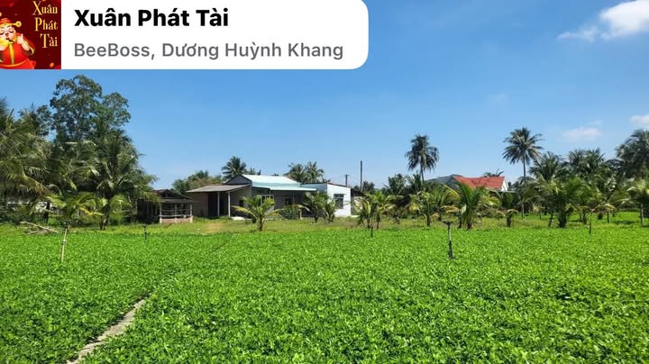 Đất vườn Hội Vân 2400m² - Sổ đỏ chính chủ, ô tô vào tận nhà!