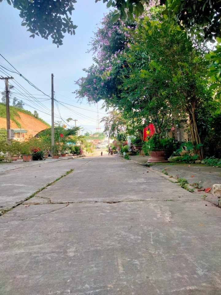 Bán đất đấu giá 87m² Ngô Sỹ Liên, Yên Bái - Sổ đỏ sạch, giá 1 tỷ