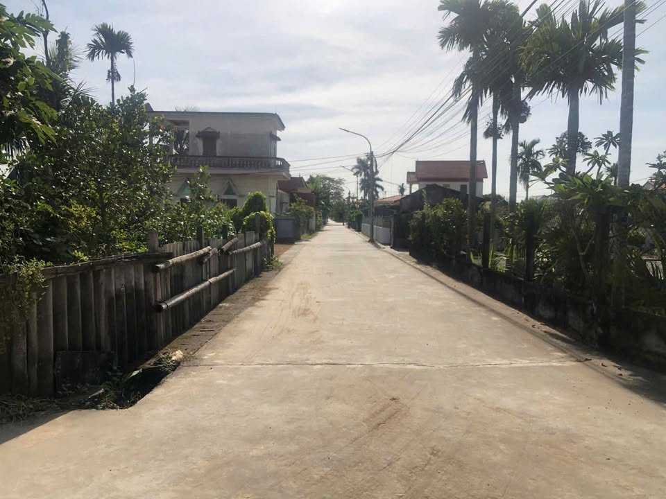 Đất nền An Lão 100m² hơn 600 triệu - Sổ đỏ chính chủ!