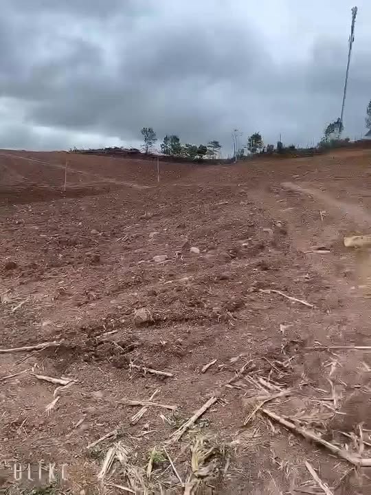 Đất Vườn Đắk R'La 3.7ha Đắk Mil - Nghỉ Dưỡng Lý Tưởng