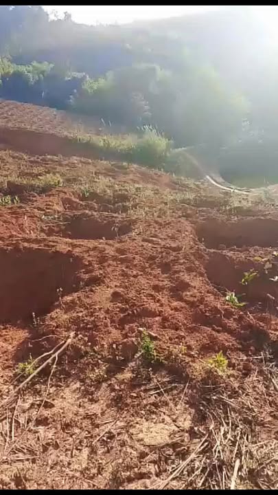 Bán Gấp Đất Rẫy 3ha Gia Lai - Sẵn Nguồn Nước Suối