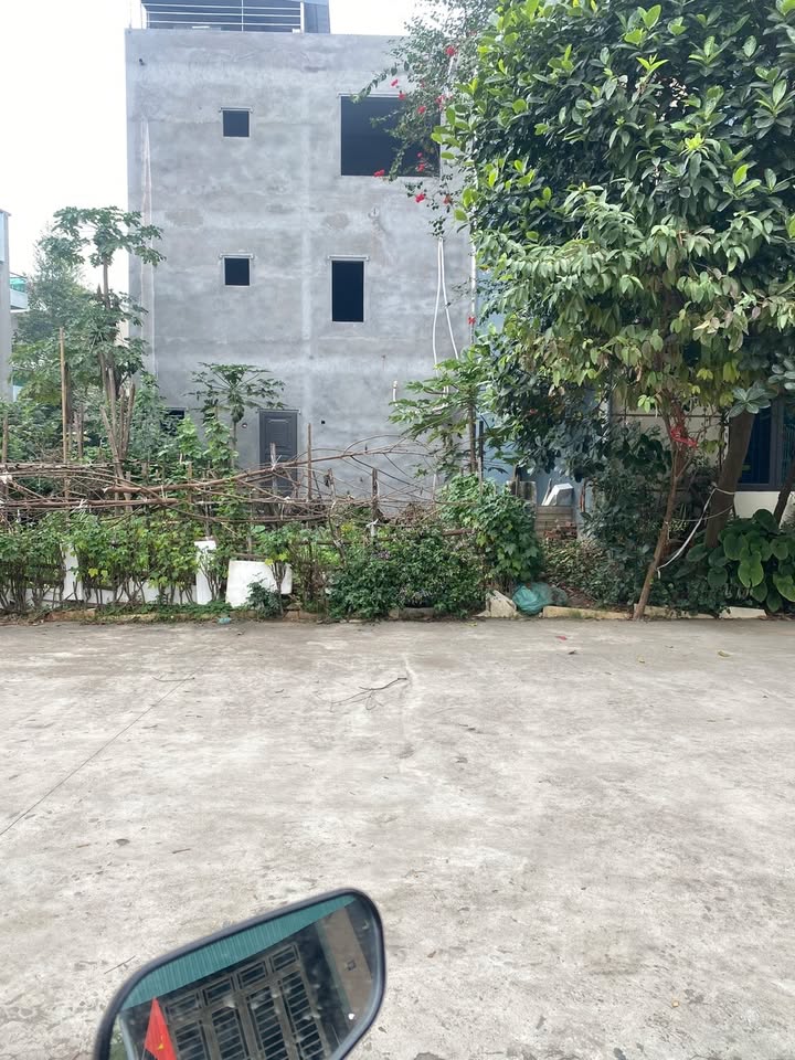 Đất nền Thanh Miếu Việt Trì 83m² 5.81 tỷ - Sổ đỏ chính chủ