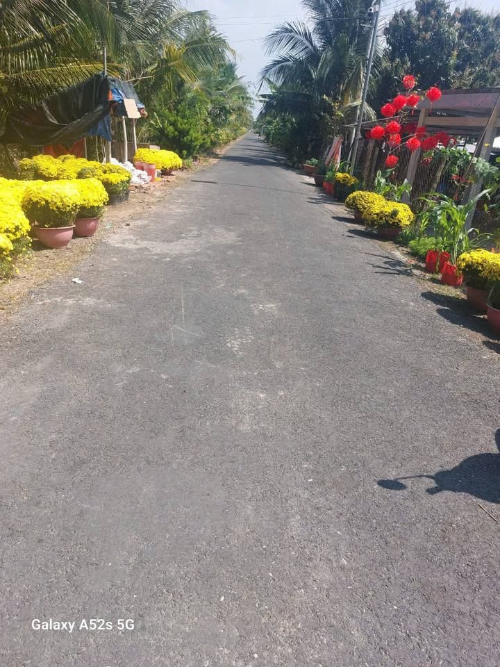 Bán Đất Nền 364.2m² Tại Mang Thít, Vĩnh Long - Sổ Đỏ Riêng, Giá Tốt