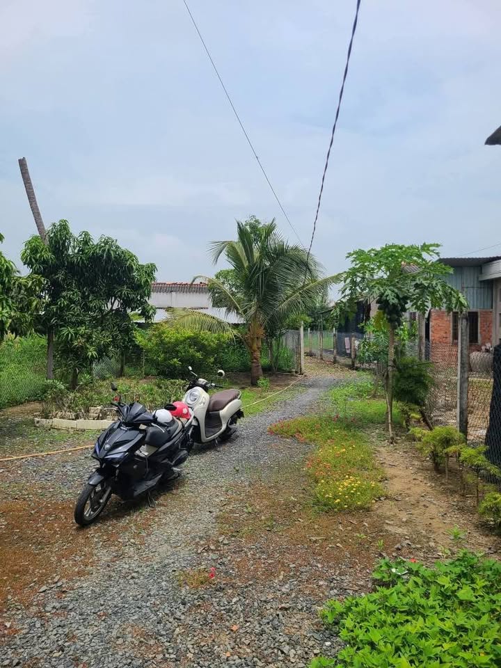 Nhà 551m² Ấp Long Thới, Đồng Tháp - Sổ Hồng Riêng, Xe Hơi Tới Nhà