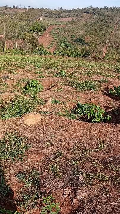 Bán Đất Rẫy 3600m² Đăk Lăk - Sổ Đỏ Thổ Cư, Giáp Suối