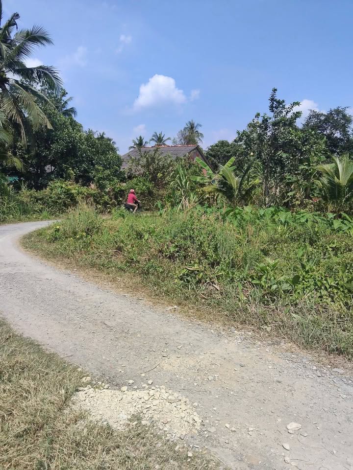 Đất nền Xã Nhơn Phú Vĩnh Long 90.3m² giá 225 triệu - Sổ đỏ chính chủ