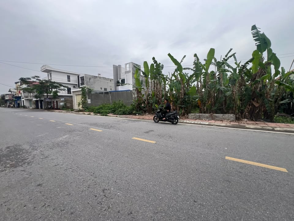 Mặt Tiền Đào Yêu An Dương 150m² - Kinh Doanh Sầm Uất, Giá Tốt