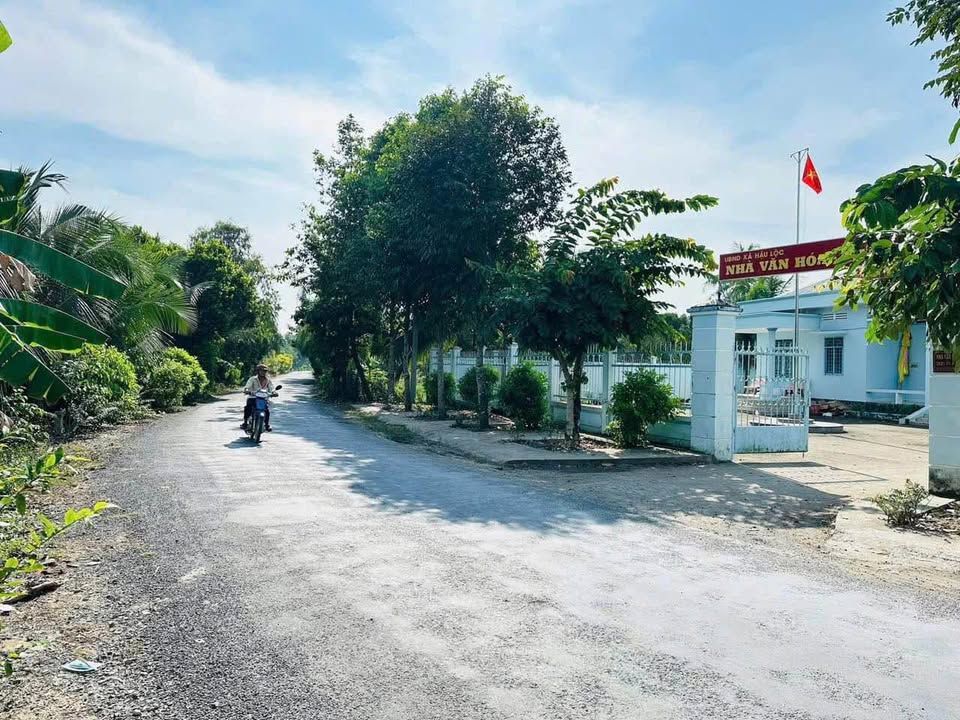 2 Nền Đất Hậu Lộc, Tam Bình 290m² - Sổ Đỏ Chính Chủ, Giá Tốt!