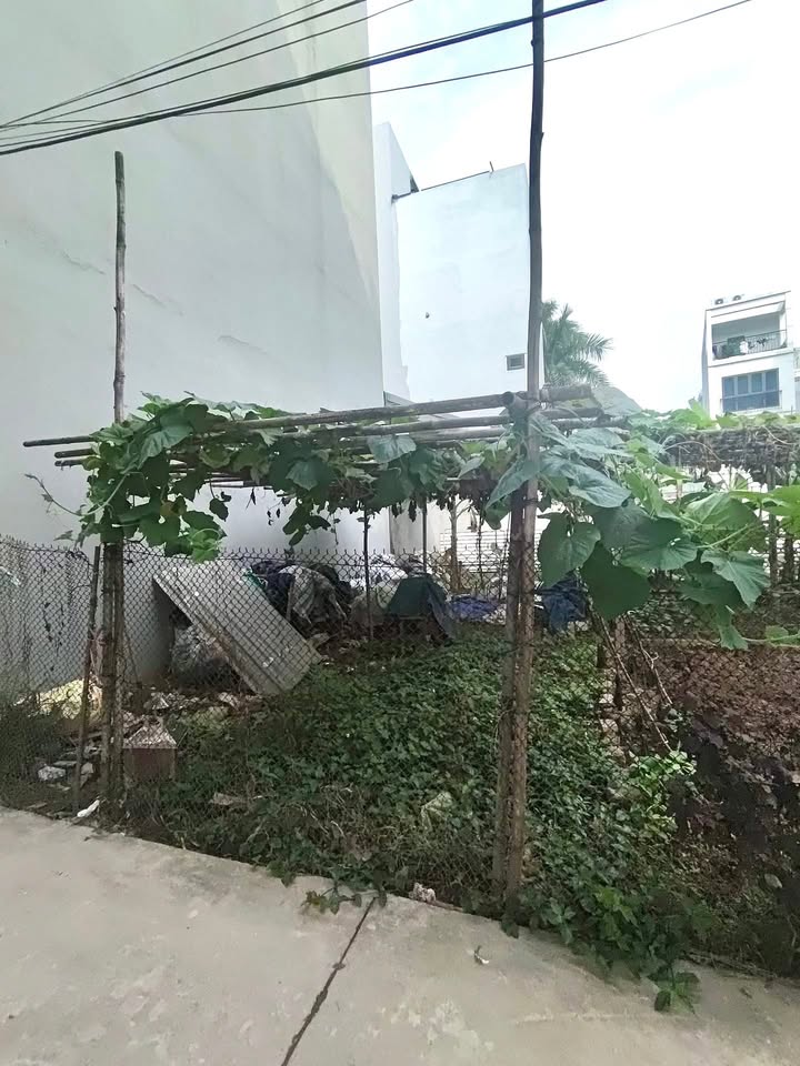 Bán đất Phúc Lợi, Long Biên 31m² - Sổ đỏ vuông vắn, ô tô đỗ cửa