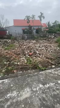 Đất nền Trầm Lộng, Ứng Hòa 70.5m² - Sổ đỏ chính chủ, ô tô vào tận đất!