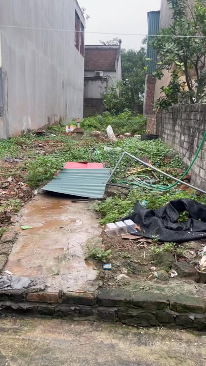 Bán đất Phúc Lâm, Mỹ Đức 115m² - Ngõ ô tô, đường thông, tiện ích đủ đầy