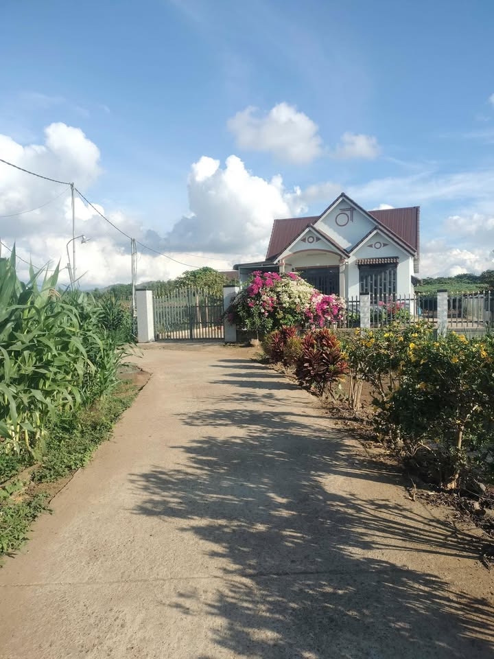 Bán đất bê tông 185m² Tân Hội, Đức Trọng - Giá 670 triệu, Sẵn Sổ Hồng!