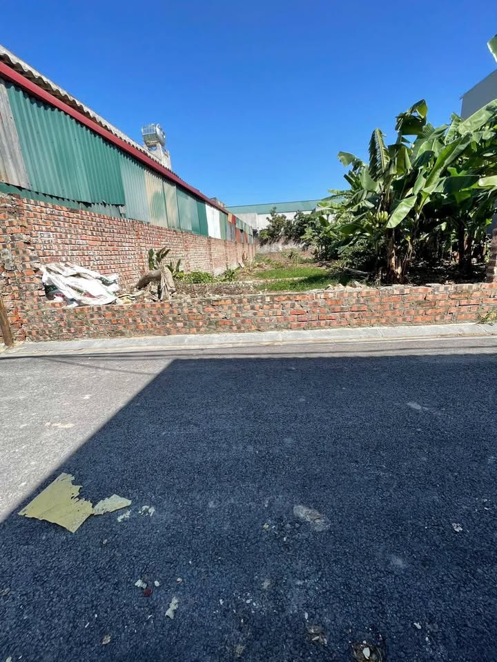 Bán Đất Thổ Cư 100.5m² Thư Lâm, Mỹ Đức - Ngõ Thông Ô Tô Đỗ Cửa