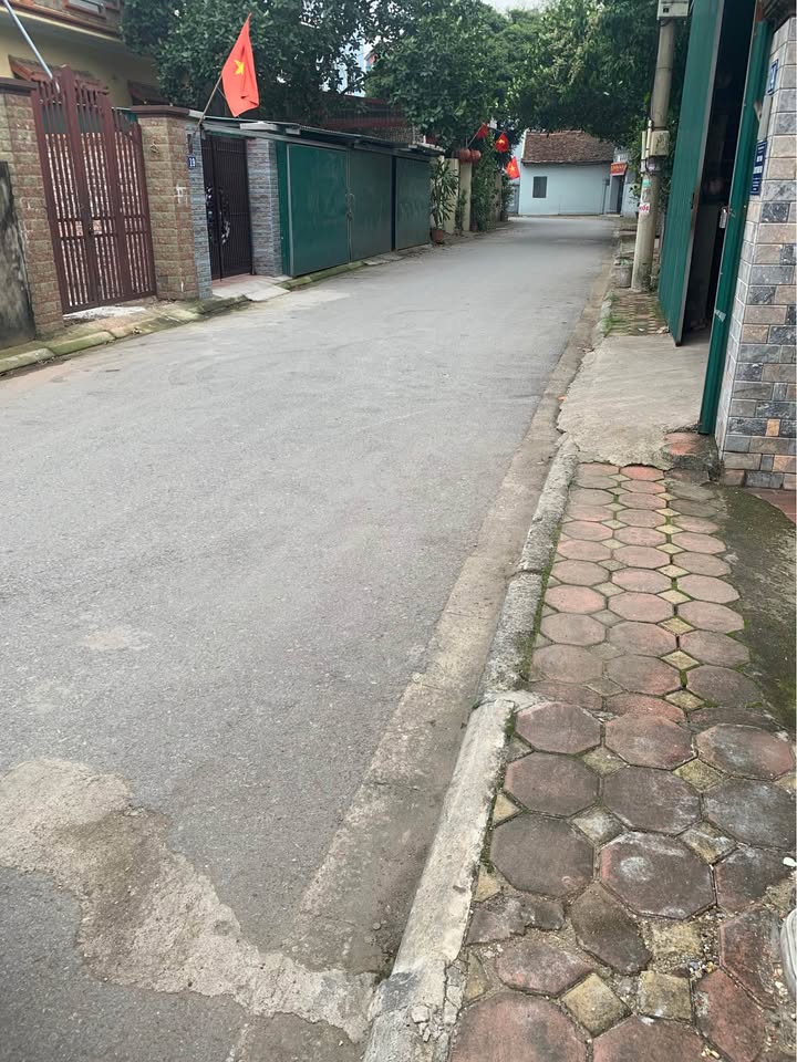 Đất nền Sen Hồ, Gia Lâm 48m² - Sổ đỏ chính chủ, ô tô vào đất!