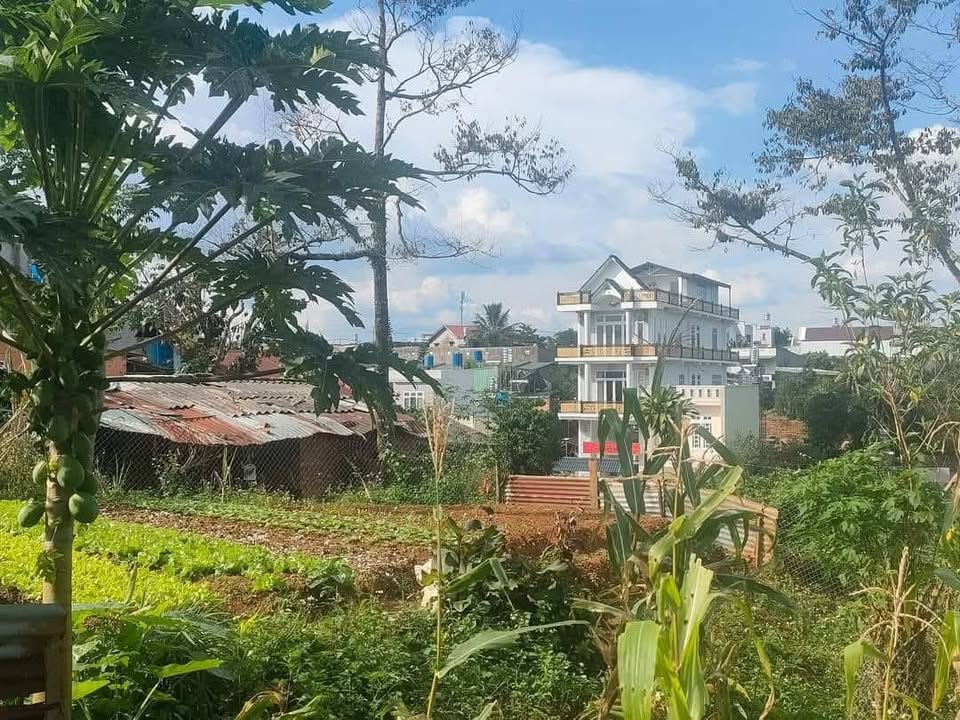 Đất nền Bảo Lộc 170m² - Đường ô tô, nở hậu đẹp!