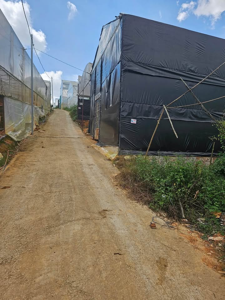 Đất nền Nguyên Tử Lực Đà Lạt 67m² - Tiềm năng tăng giá vượt trội!