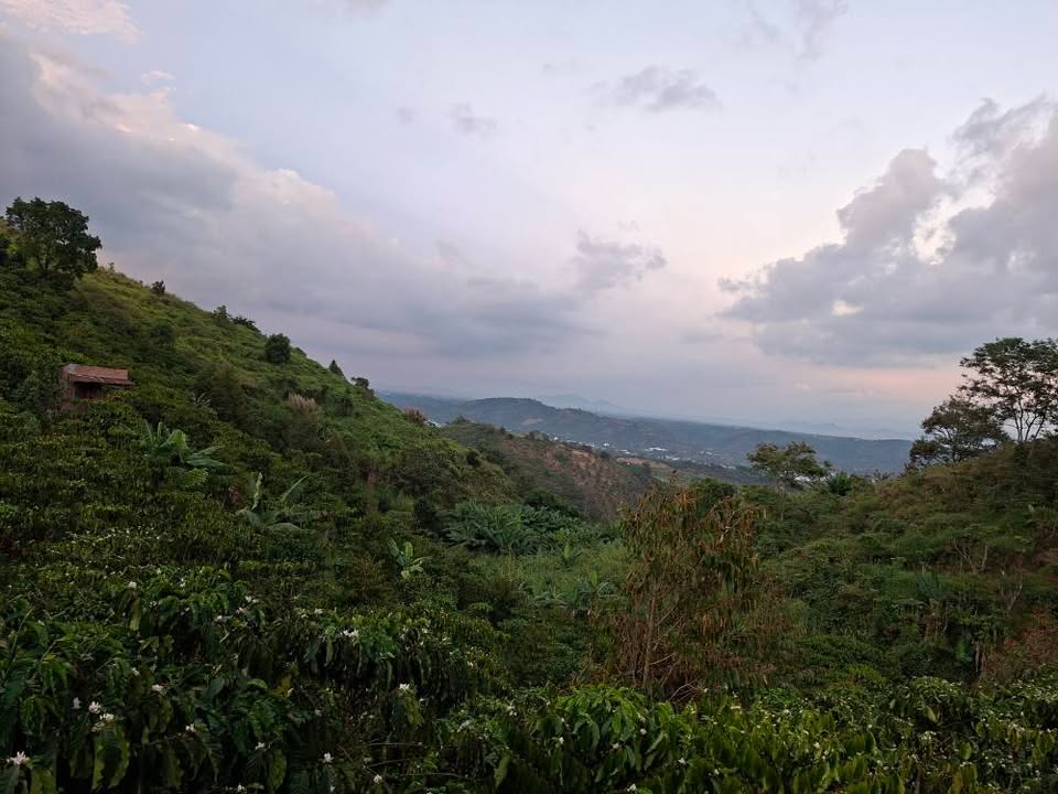 Đất Vườn Lộc Thành, Bảo Lâm 1.4ha - View đẹp, giá chỉ 450 triệu!