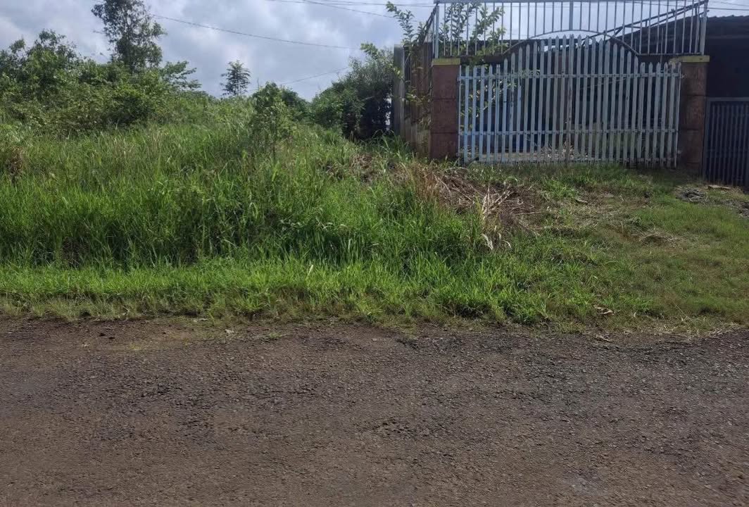 Mặt Tiền Trần Nhật Duật Bảo Lộc 122m² - Kinh Doanh Đắc Địa, 1.95 Tỷ