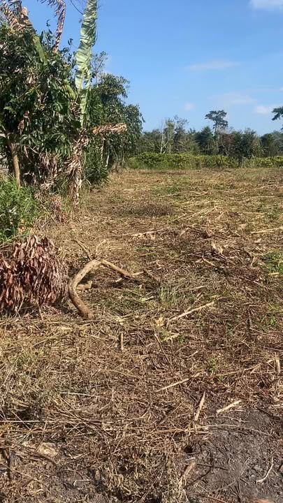 Đất thổ cư 2000m² (50x40) Thị trấn Phước An, Krông Pắc - Giá đầu tư hấp dẫn