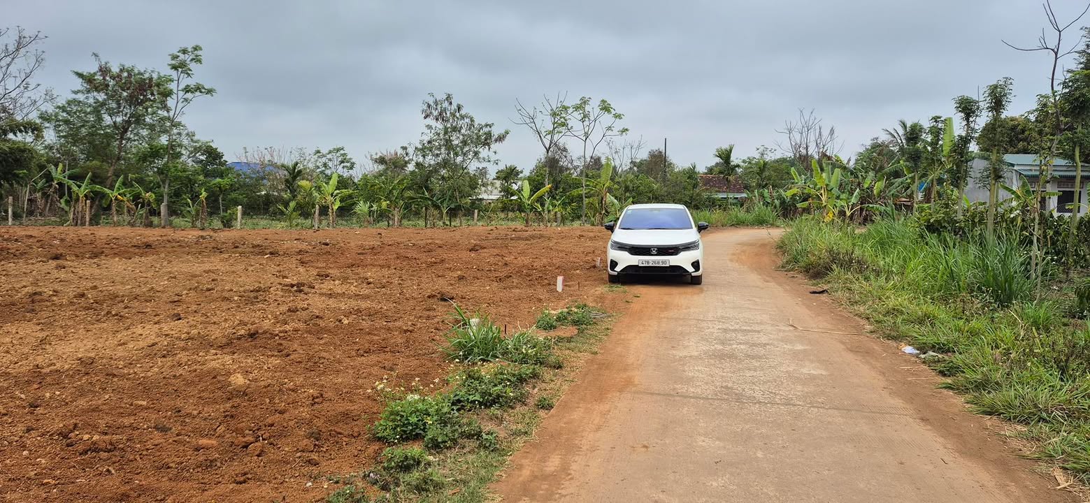 Đất nền Krông Pắc 230m² - Đất thổ cư 100%!