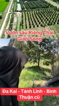 Đất Vườn Đa Kai 10000m² Giáp Sông - Sinh Thái Xanh Lý Tưởng