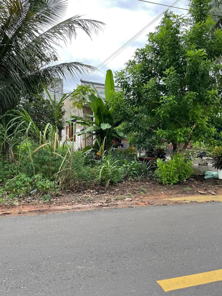 Bán Đất Mặt Tiền Trà Cổ, Tân Phú 314m² - Giá 1.4 Tỷ, Sẵn Sổ Hồng