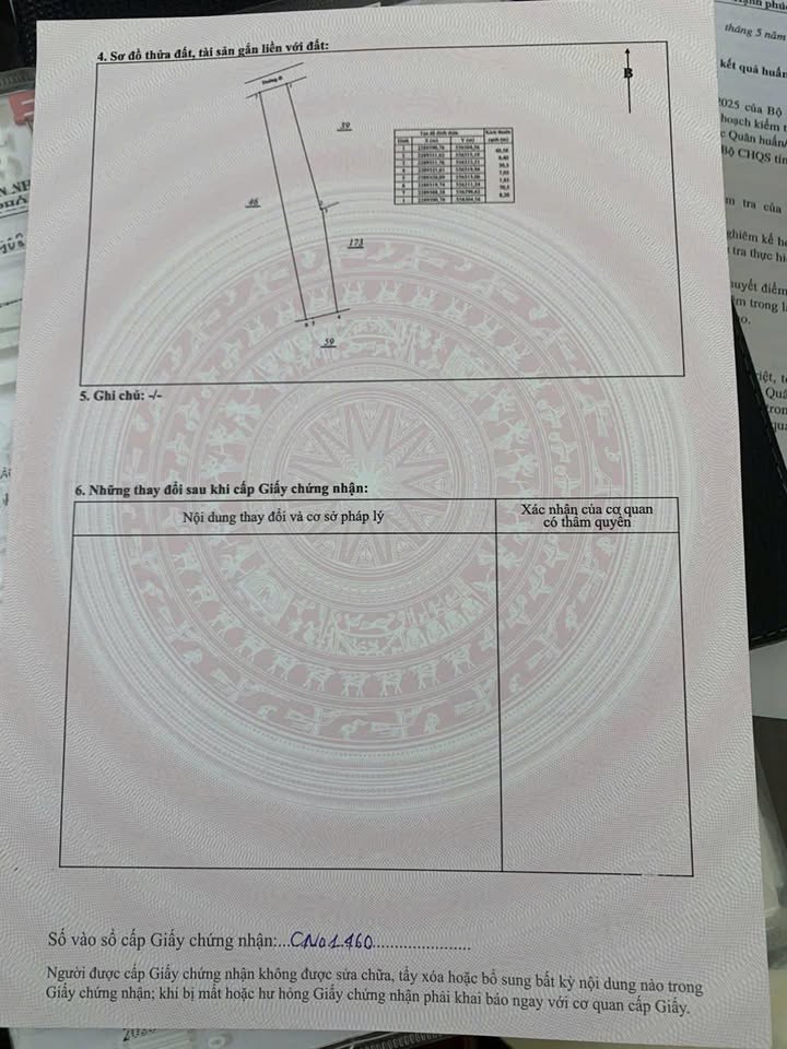 Đất nền Phường Sơn Nam, Hưng Yên 675m² - Đường ô tô, tiềm năng sinh lời!