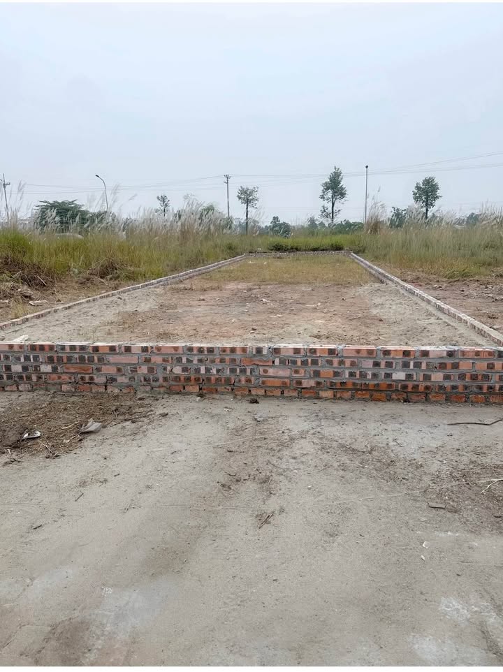 Đất nền đấu giá Đồng Quân Sơn Tây 95m² - Hạ tầng hoàn thiện!