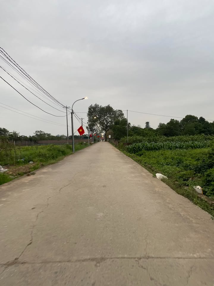 Đất nền Song Phương, Hoài Đức 288m² - Sổ đỏ chính chủ, đường ô tô!