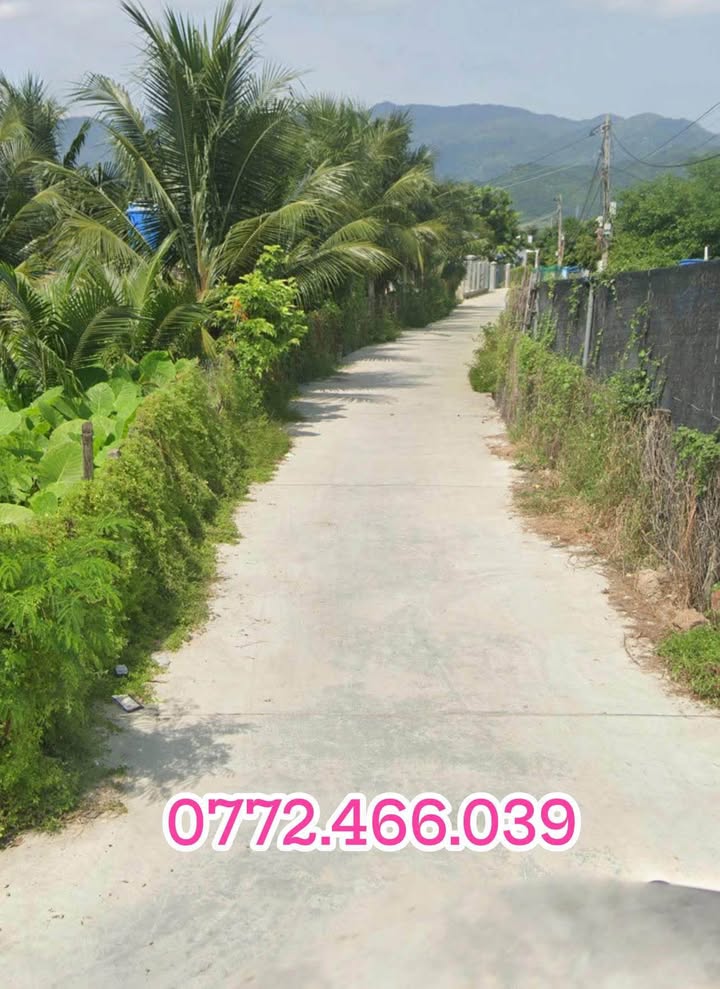 Đất nền Vạn Thắng 161.6m² - Xây dựng tự do, giá 800 triệu!